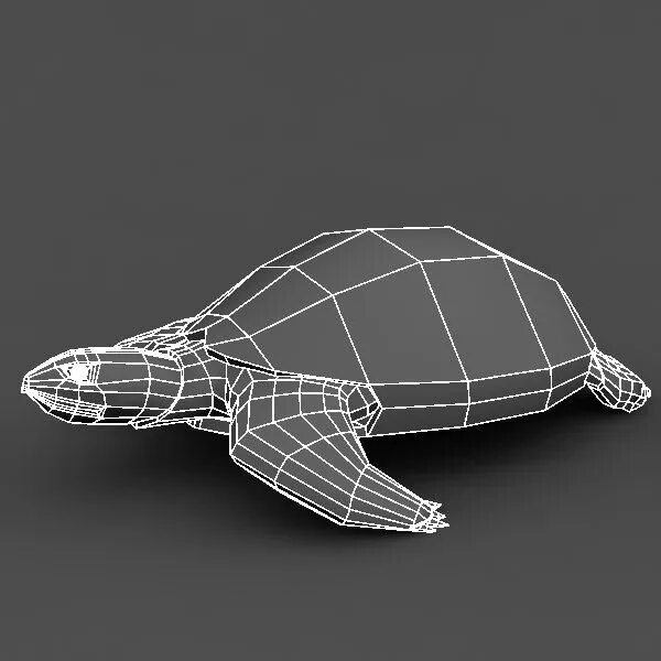 Мод черепаха. Черепаха в Тинкеркад. Shell 3d model. Черепаха 3d модель. Черепаха референс.