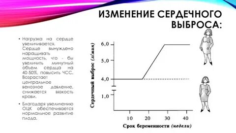 Частота сердечного выброса