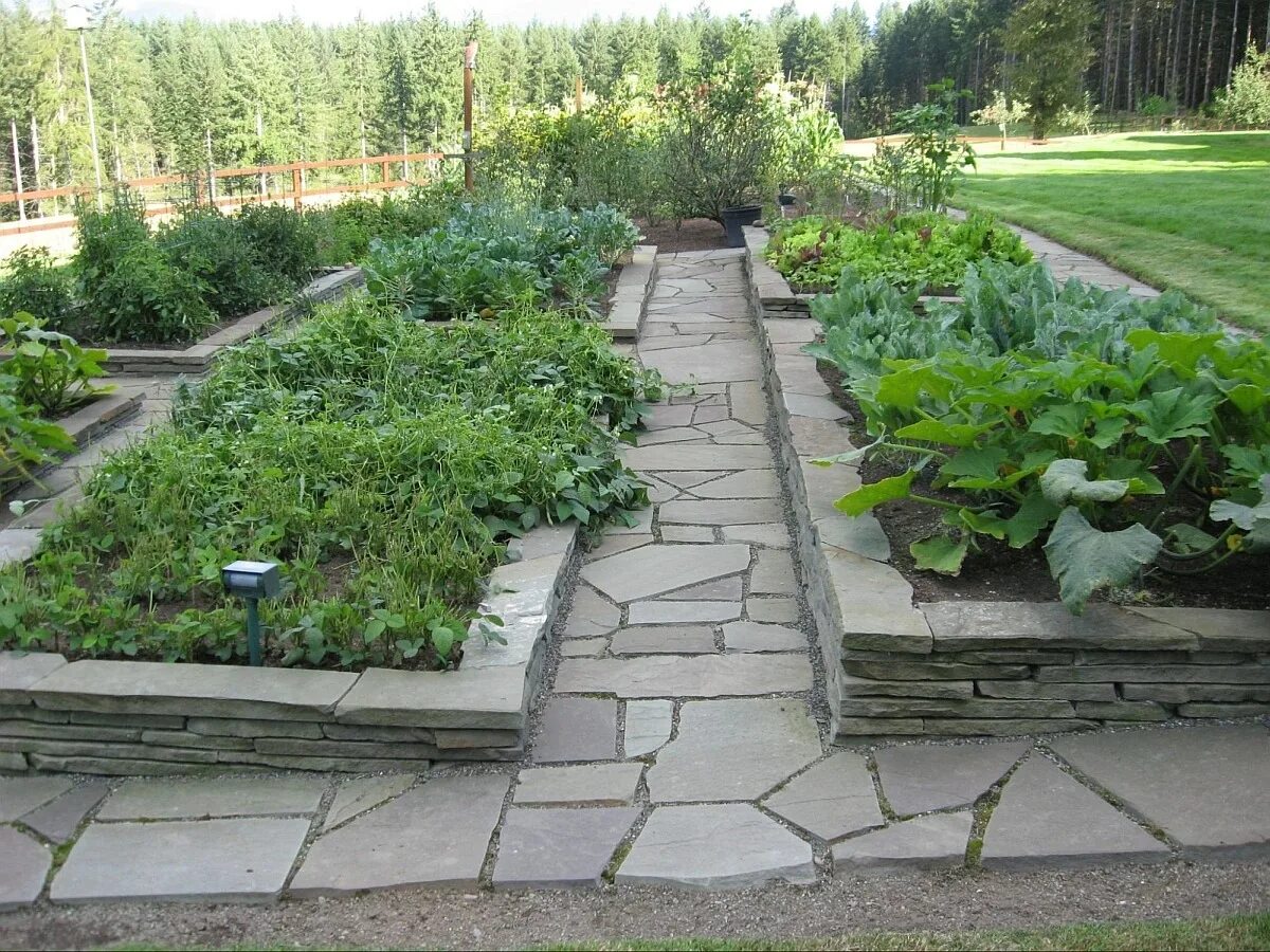 Декоративный огород. Тротуарная плитка между грядок на даче. Дорожки между грядками на даче. Плитка между грядками на даче. Дорожка в саду из плитки.