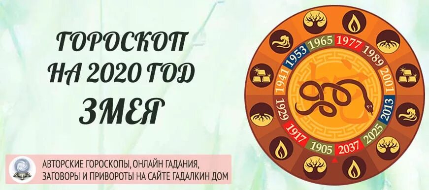 Восточный календарь змея. Год змеи гороскоп. 2020 Год Восточный гороскоп. Змея года по гороскопу.