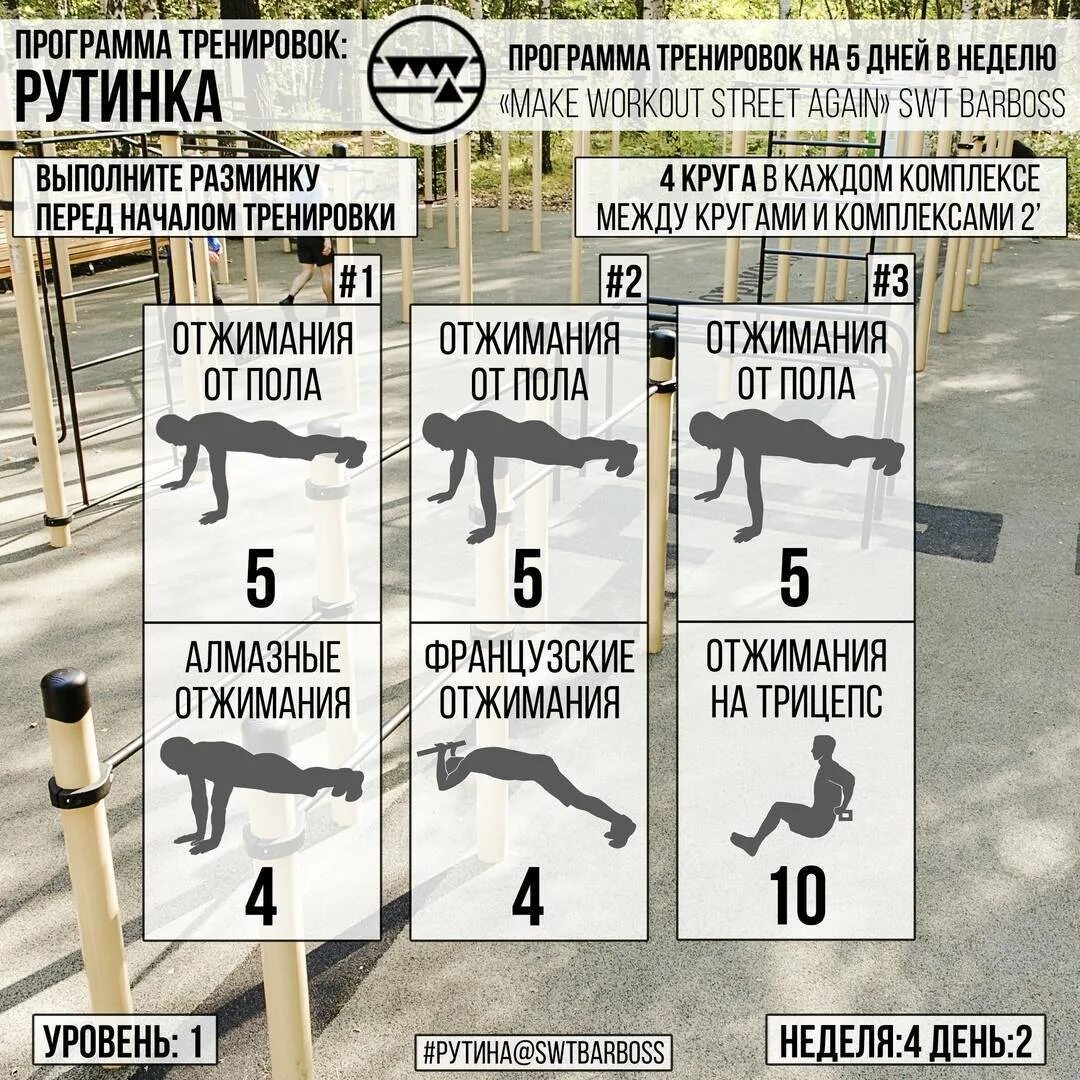 Тренировка на брусьях программа для начинающих. План тренировок на турнике. программа тренировок на турнике. программа тренировок на брусьях. план тренировок подтягивания.
