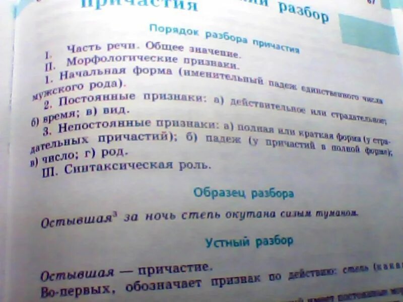 Начальная форма слова вырастет. Морфологический разбор слова Дикие. Морфологический разбор слова Дикие Дикие. Начальная форма слова Дикие. Морфологический разбор слова бешеный.