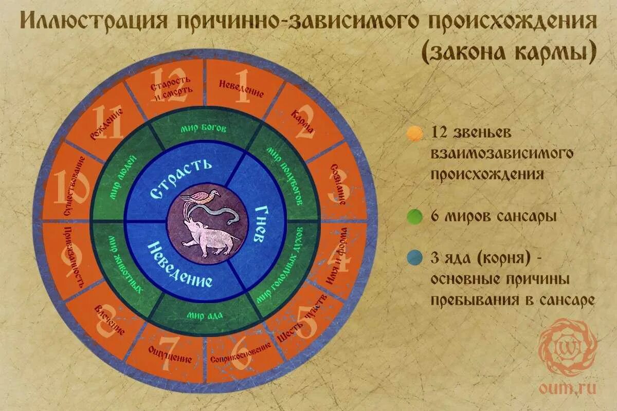 Инкарнация что это такое простыми словами. Колесо Сансары. Круг жизни буддизм. Закон Сансары. 12 Звеньев взаимозависимого возникновения.