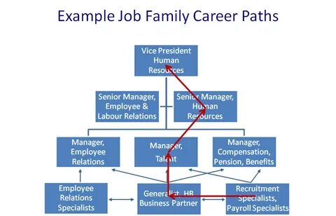 Job families