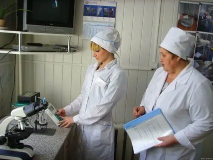 Лаборант вакансии ростова на дону
