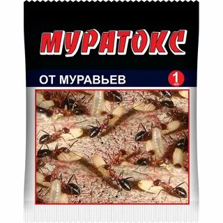 Вебер муравьи