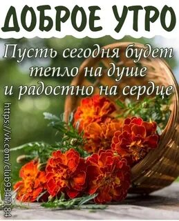 Доброе утро 23 августа