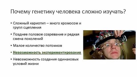 Причины генотипа
