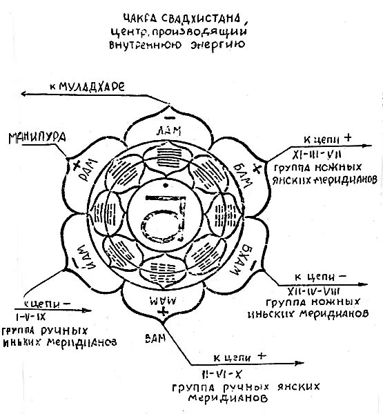 Чакра анахата сахаджа. Чакры муладхара свадхистана. Свадхистана чакра у женщин. Свадхистана чакра за что отвечает. Свадхистана чакра активация.