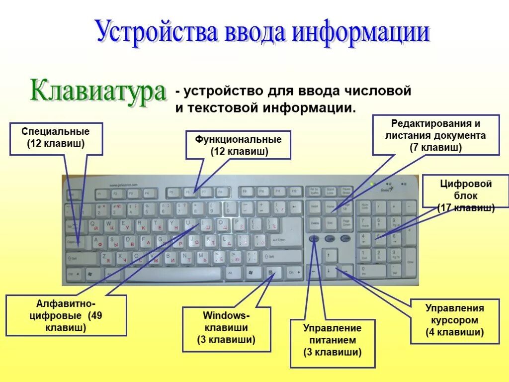 Работает часть клавиш. Строение клавиатуры. Устройство кнопки клавиатуры. Функциональные клавиши на клавиатуре. Устройство клавиатуры компьютера.