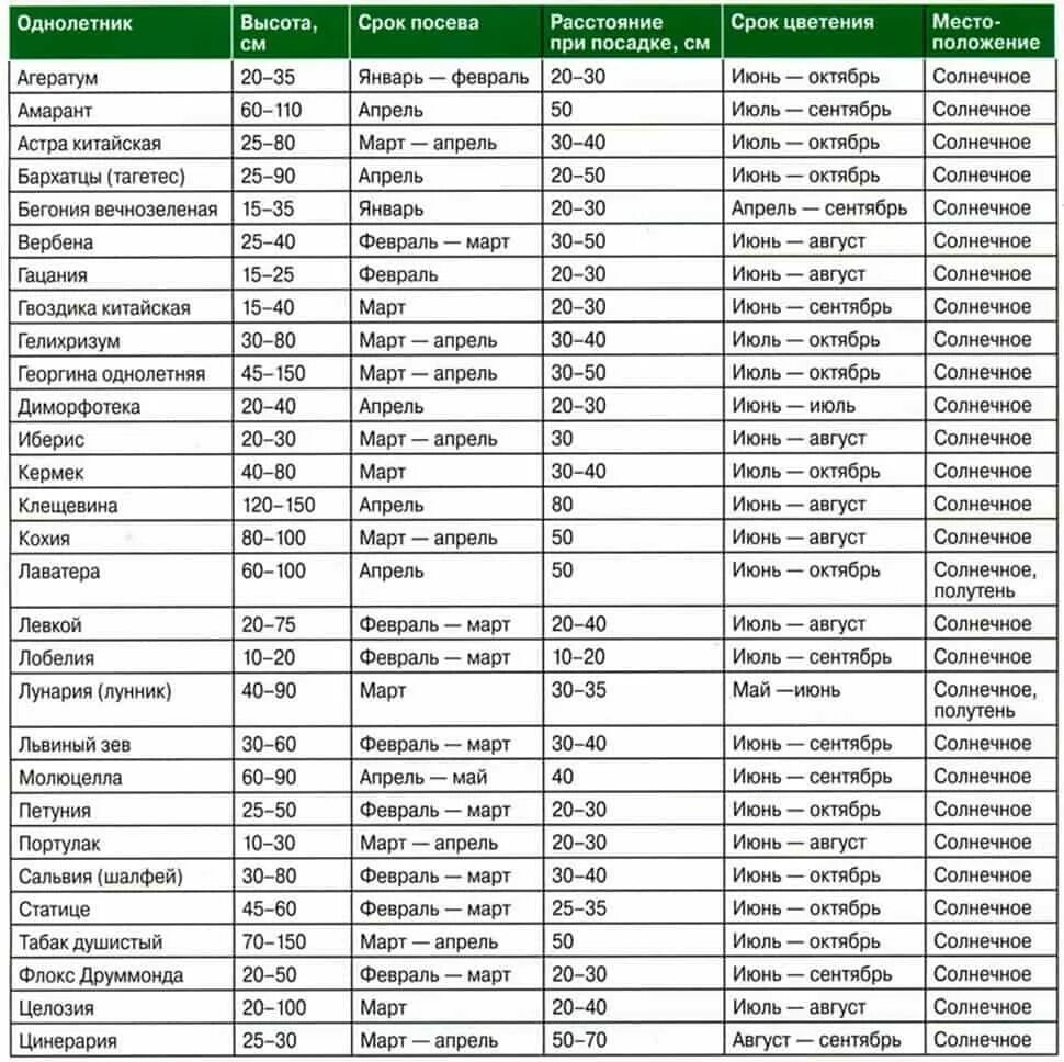 В каком месяце можно сеять семена. Сроки посадки однолетников на рассаду таблица. Сроки посева цветов на рассаду таблица. Сроки посева семян однолетних растений на рассаду. Сроки высадки семян на рассаду таблица.
