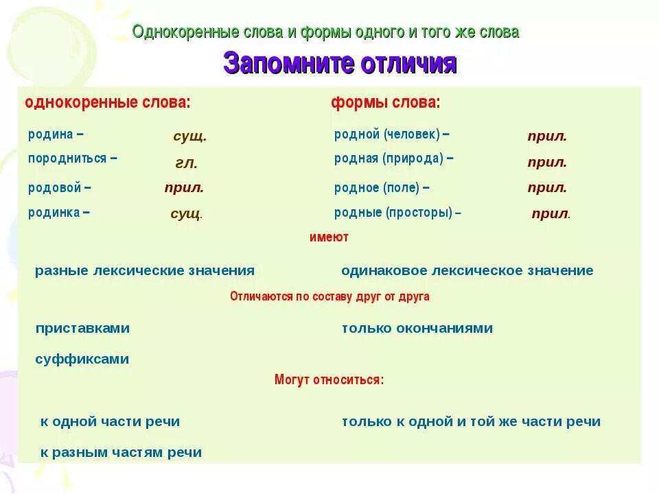 Площадь форма слова. Как найти форму слова 3 класс. Формы одного и того же слова. Формы слова и однокоренные слова. Однокоренные слова и формы одного и того же слова.