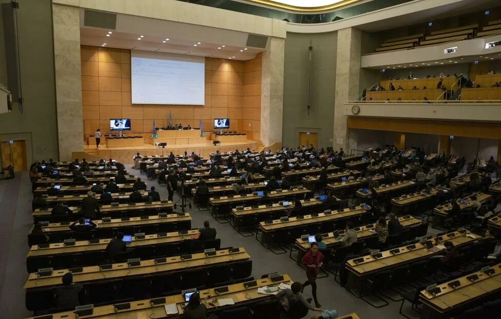 Совет по правам человека. Совет ООН по правам человека (СПЧ). Дворец наций Женева совет по правам человека. Зал ООН В Женеве. Зал заседаний ООН В Женеве.
