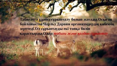 Әдемі брюнетка қызбен жыныстық қатынас