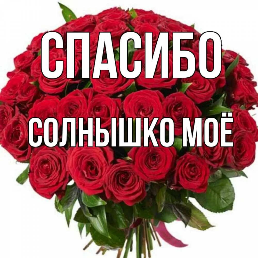 Спасибо солнце любимое. Спасибо дорогая картинки. спасибо сергей. спасибо дорогому сергею се. спасибо сергей викторович.