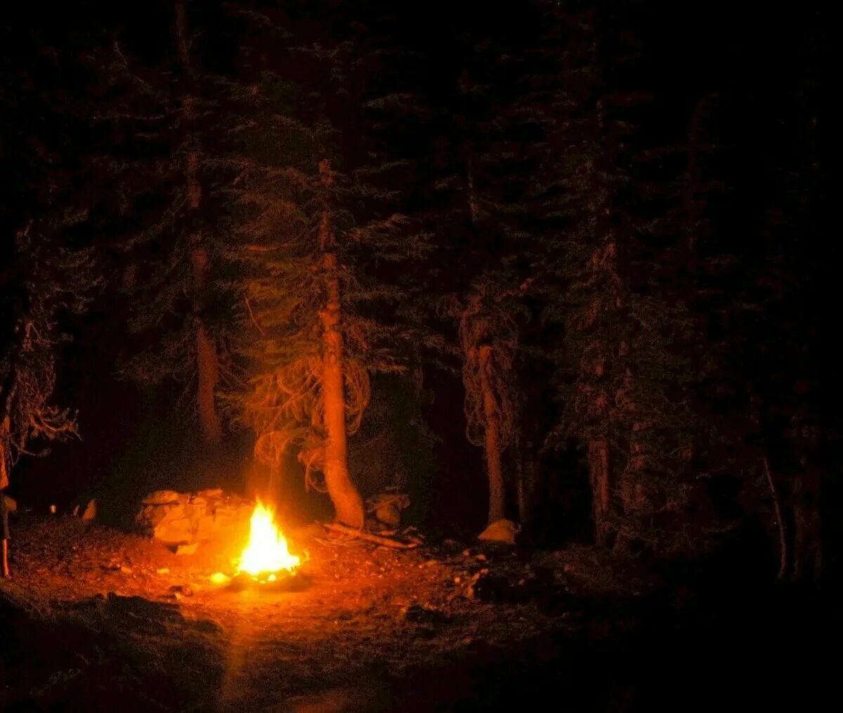Костер в лесу. Костёр в лесу ночью. Костер в ночном лесу. Огонь в лесу ночью. Кроме этих таинственных огоньков в полуверсте ничего
