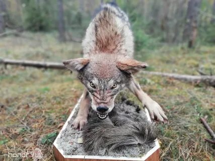 Волчара читать