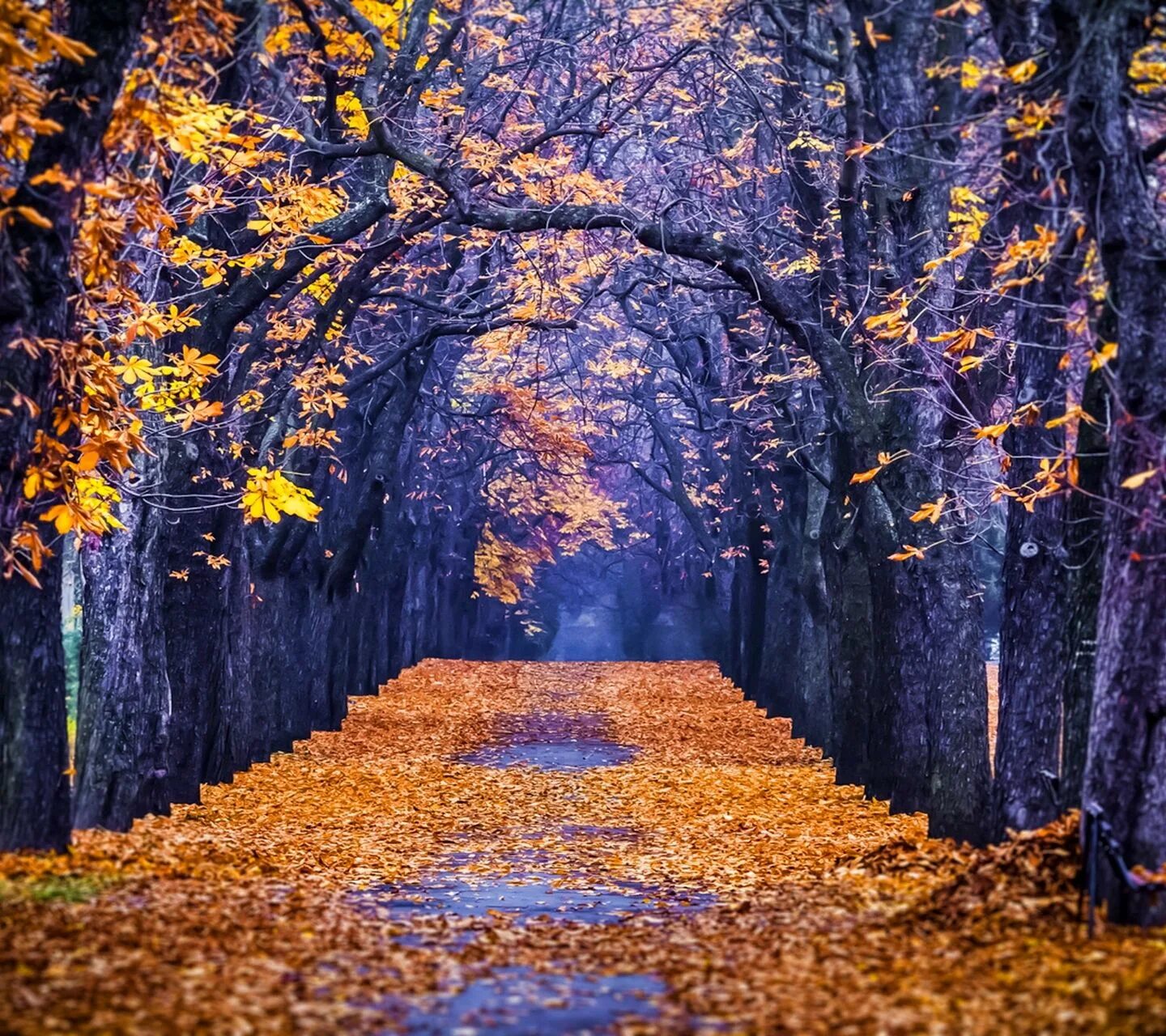 Fall in sight. Fall in sight