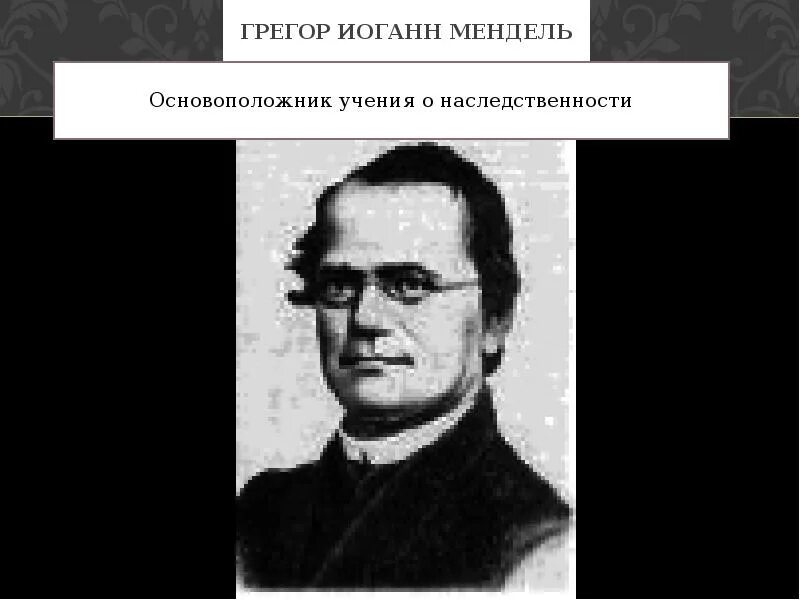 Основоположником учения о наследственности является. Мендель ученый. мендель основоположник учения. иоганн ученый биолог. иоганн мендель семья.