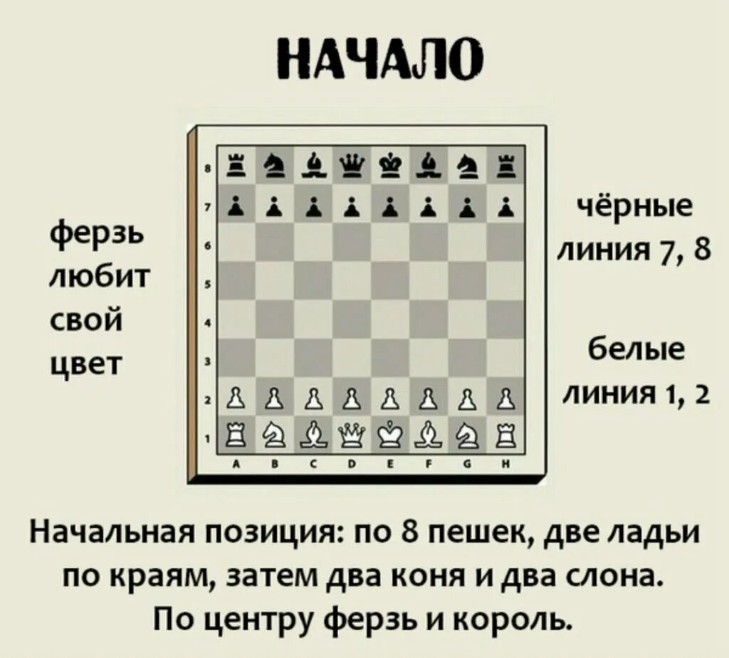 Сколько фигур в шахматах всего в наборе. Правила игры в шахматы для начинающих детей. правила игры в шахматы для начинающих как ходят фигуры. шахматы правила игры для новичков. шахматы правила игры для новичков с картинками.