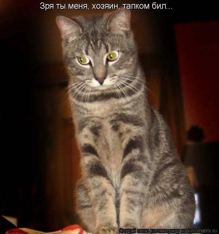 Бить тапком. Удар тапком. Тапком по морде. Афроамериканец с тапком. Бьет тапком.