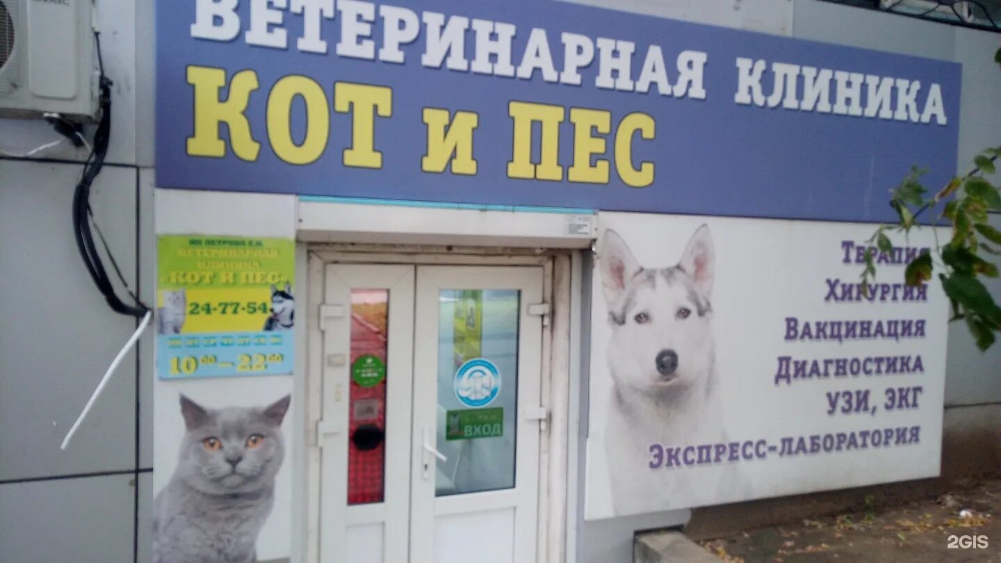 котопес. ветеринария клиника кот и пес стрежевой. эмблема пес и кот череповец. плакат зоомагазина. кот и пес режим работы.