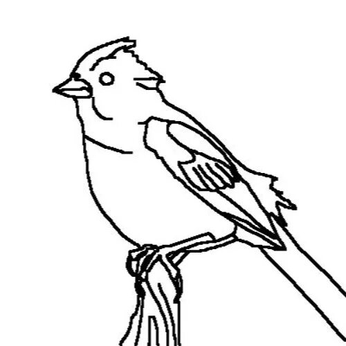 Растрепанный воробей паустовский раскраска. Растрепанный воробей раскраска. Воробей раскраска. Иллюстрация к произведению паустовского растрепанный воробей 3 класс. Раскраска к произведению паустовского растрепанный воробей.