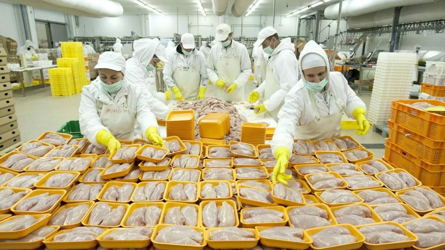 Фуд сити калужское шоссе. Продуктовая отрасль. Продуктовая отрасль. Овощи на рынке. Продукты фото картинки.