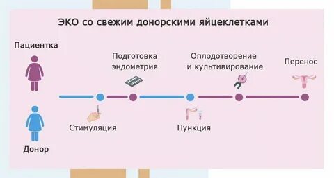 Донорство яйцеклеток ребенка