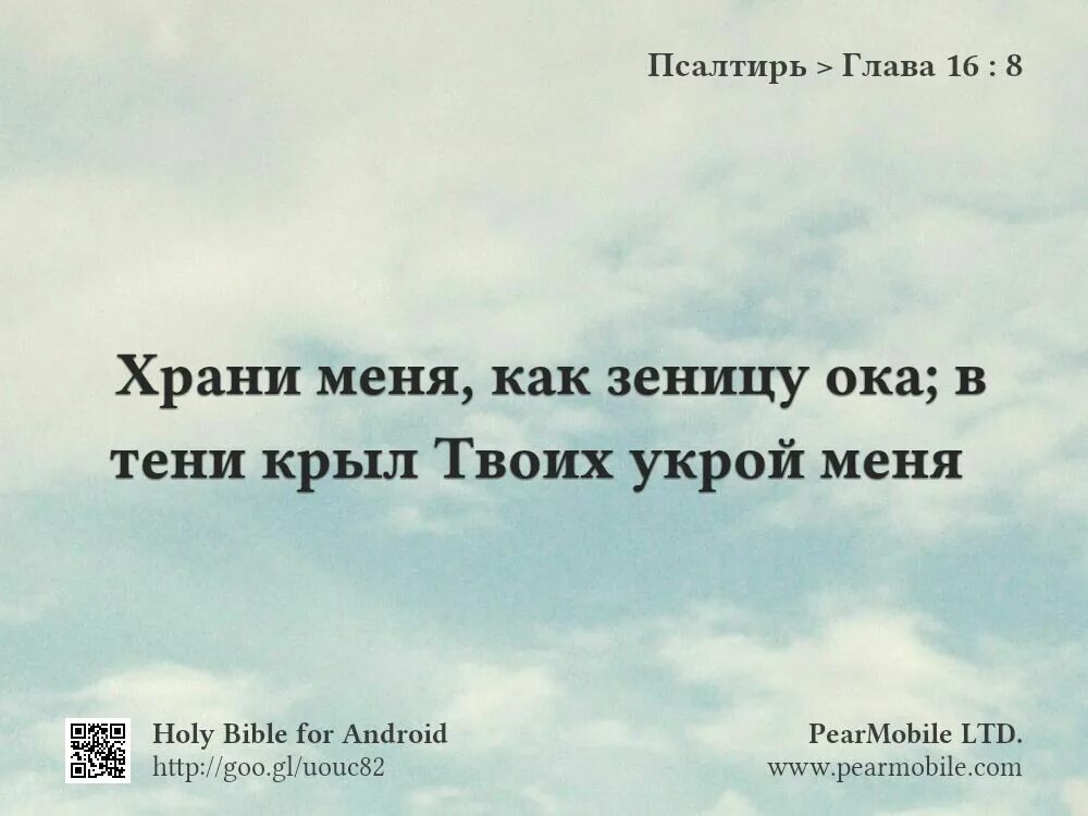 Беречь как зеницу око значение. Храни меня как зеницу Ока в тени крыл твоих укрой. В тени крыл твоих укроюсь. Храни меня как зеницу Ока в тени. Касающийся вас касается зеницы Ока моего.