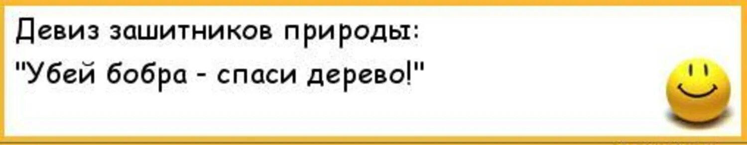 Убей бобра Спаси дерево стих. Мания преследования. Бред преследования. Юмор Мания преследования. Неприятный точно