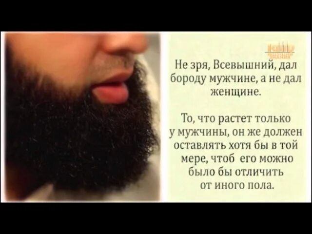 Мухаммад борода. Борода в исламе. мужчина с бородой мусульманин. усы с бородой сунна. борода это сунна.