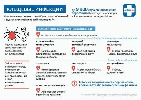 Энцефалит симптомы у собак после укуса