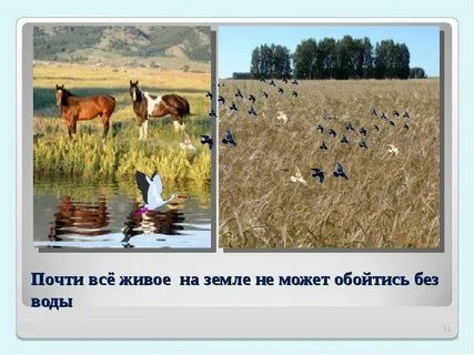 Но не обходится и без