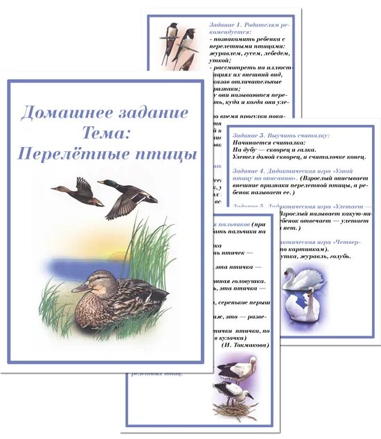 Лексическая тема перелетные птицы для дошкольников. Задания по теме перелетные птицы для детей 5-6 лет. Лексическая тема перелетные птицы подготовительная группа. Перелетные птицы домашние задания для дошкольников. Тема недели птицы весной