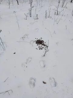 Снег исчез