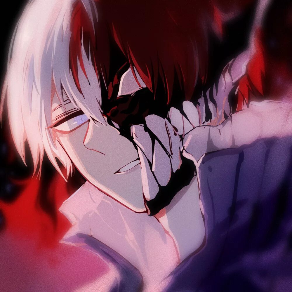 Todoroki reader