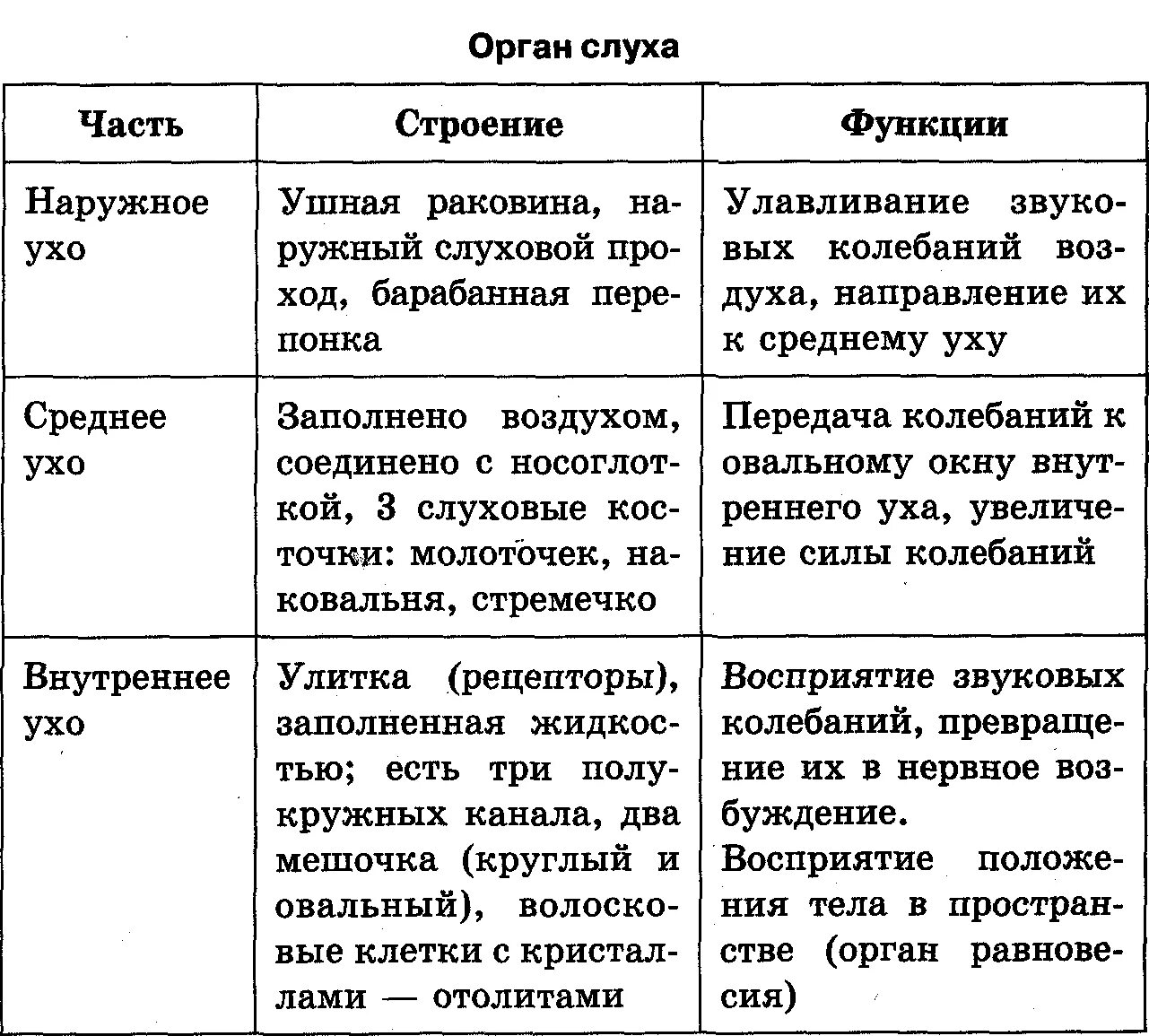 Таблица строение анализаторов 8 класс. Строение слухового анализатора таблица. Органы чувств строение и функции. Система органов чувств функции. Строение органа слуха таблица.