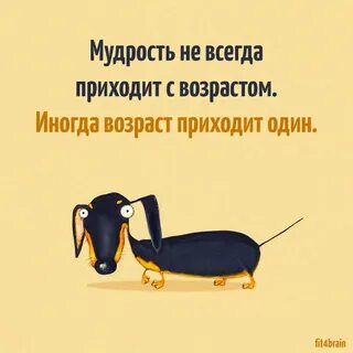 Смешные умные картинки