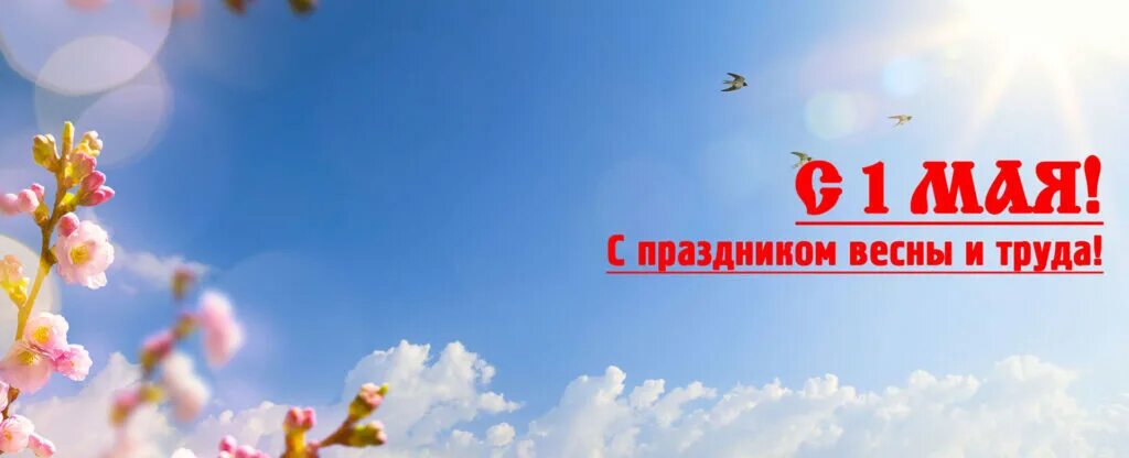 С праздником весны 1 мая. 1 мая открытки 1982. Управляющие компания 1 мая. 1 мая праздник. Поздравление с 1 мая.