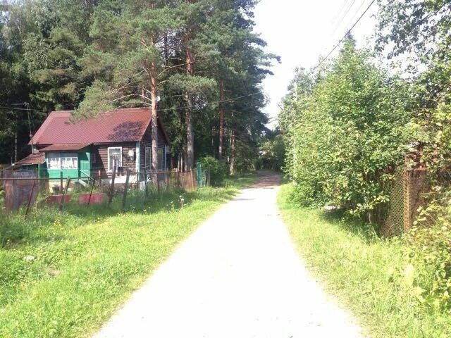 Магазин в солнечногорске деревня чепчиха. Погода в чепчихе. Энергетик 4 снт. Погода в чепчихе. Чепчиха.