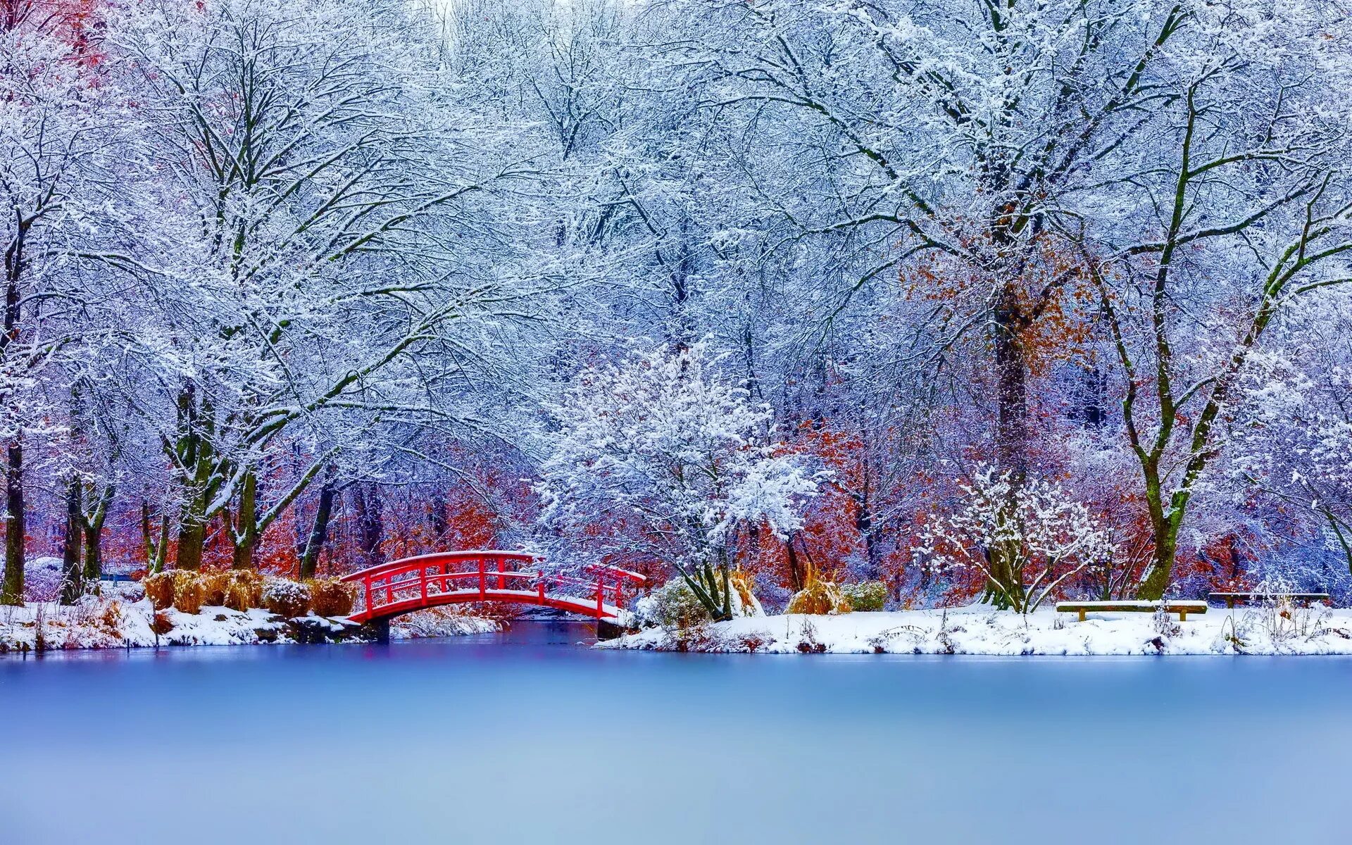 Зима ни. Зима. Красивая зима. Зимний пейзаж. Зимний парк.
