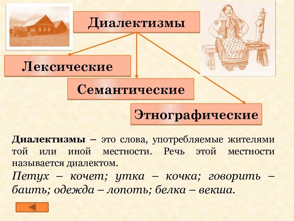 Презентация на тему диалектизмы. Диалектизм и диалектная лексика. Диалекты презентация. Диалекты примеры слов.