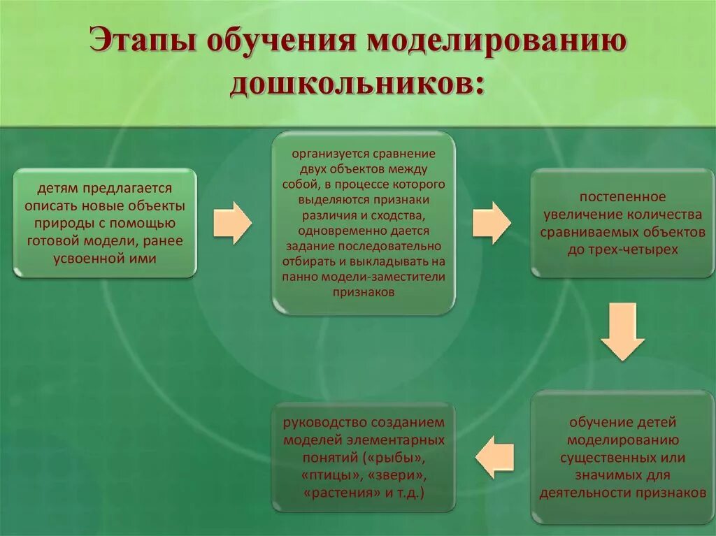 Игры в экологическом образовании. Моделирование в экологическом образовании дошкольников. Этапы обучения моделированию дошкольников. Моделирование дошкольнкик. Моделирование в ДОУ В экологическом образовании.