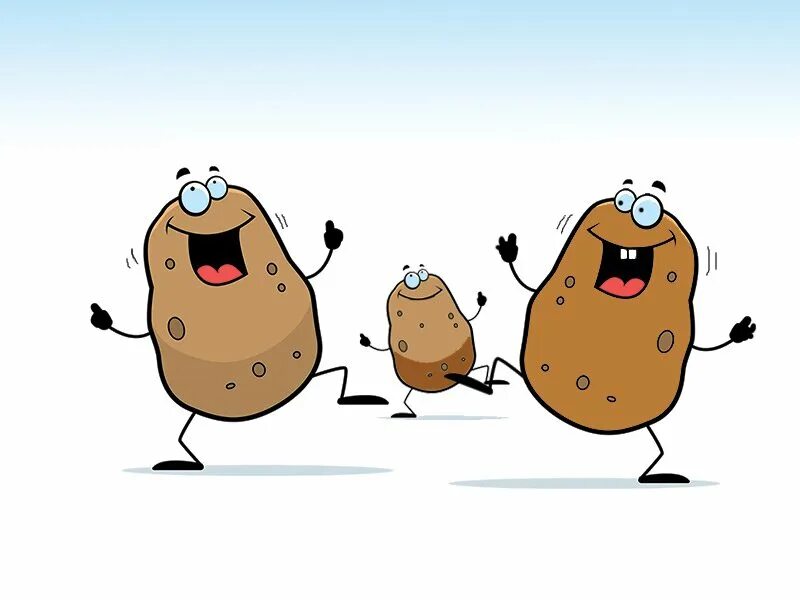 Веселая картошечка. Веселый картофель. Смешная картошка. Смешная картошка рисунки. Веселая картофелина.