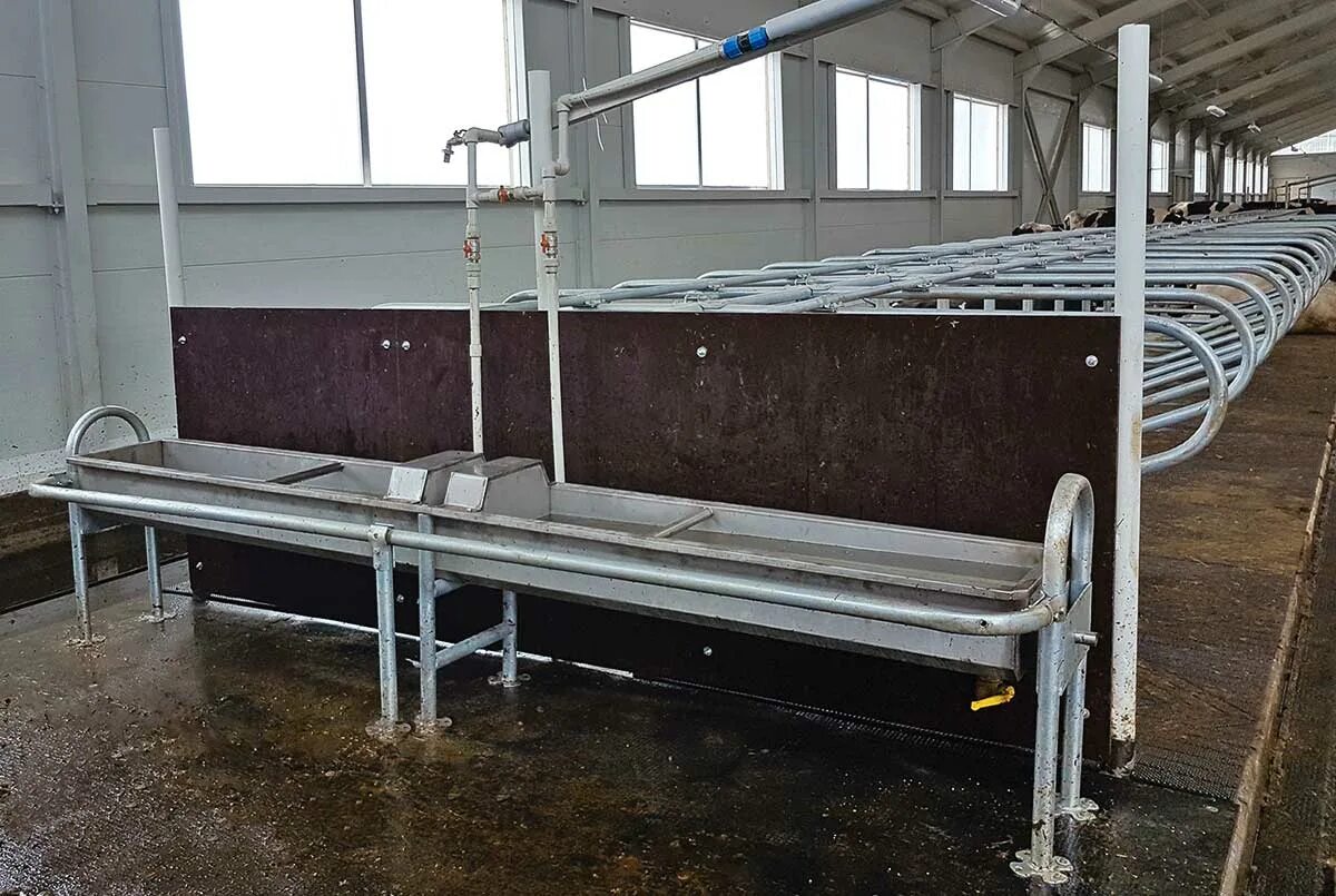 автопоилка групповая, нержавеющая, опрокидывающаяся, 1м, 80л, беларусь. поилка для крс групповая из нержавейки с подогревом. крс с подогревом. поилки для крс ап1 групповые. автопоилки для крс агк 4.