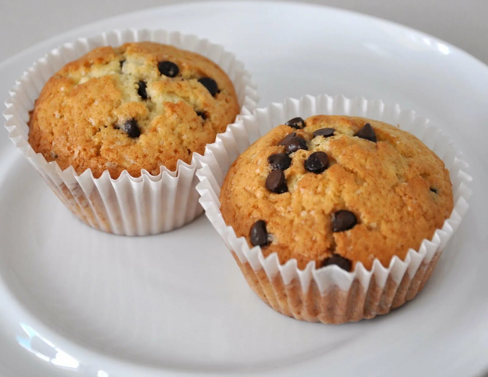 маффин шоколадный. кекс 18. маффины ванильные. иранские кексы. фунтовый кекс.