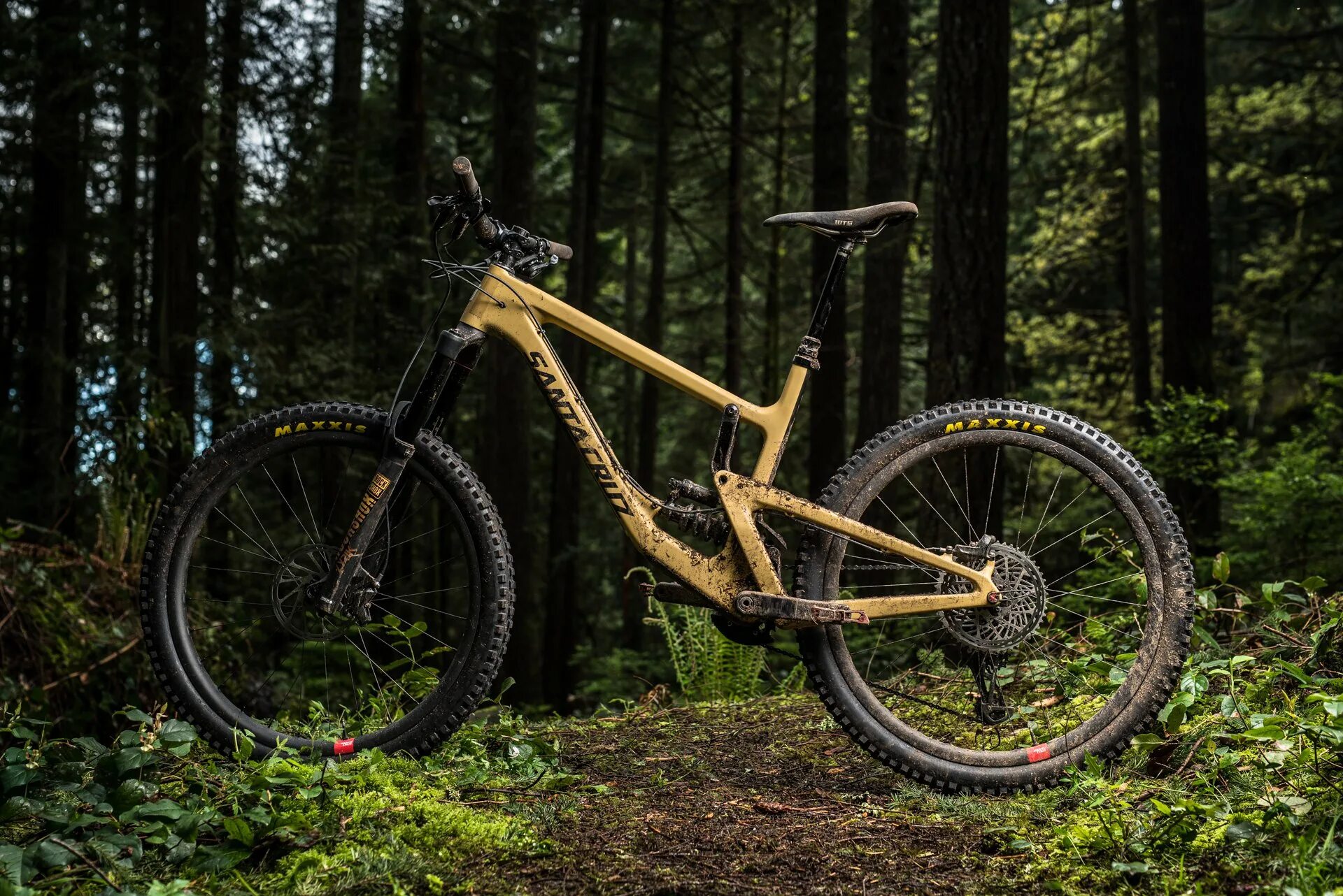 Nomad 4. Santa cruz nomad. двухподвес santa cruz. santa cruz nomad 4 al. santa cruz nomad 5.