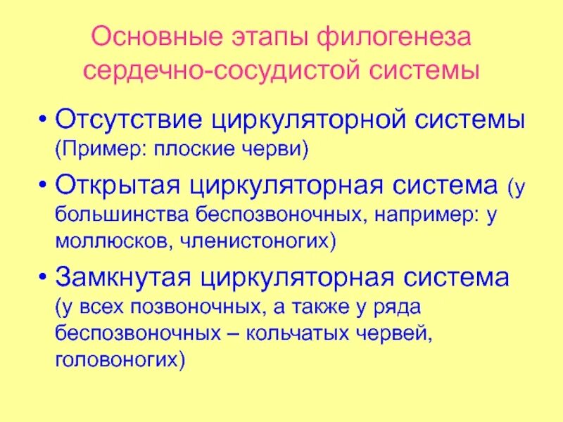 Развитие сердца в филогенезе. Филогенез сердечно-сосудистой системы. Филогенез ССС. Филогенез дыхательной системы.