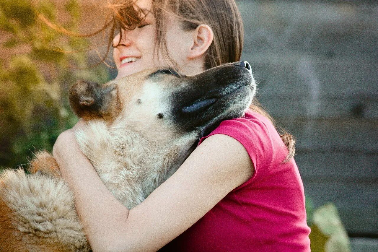 Животные любят женщин. Девушка обнимает собаку. Человек обнимает собаку. Собака друг человека. Объятия с собакой.